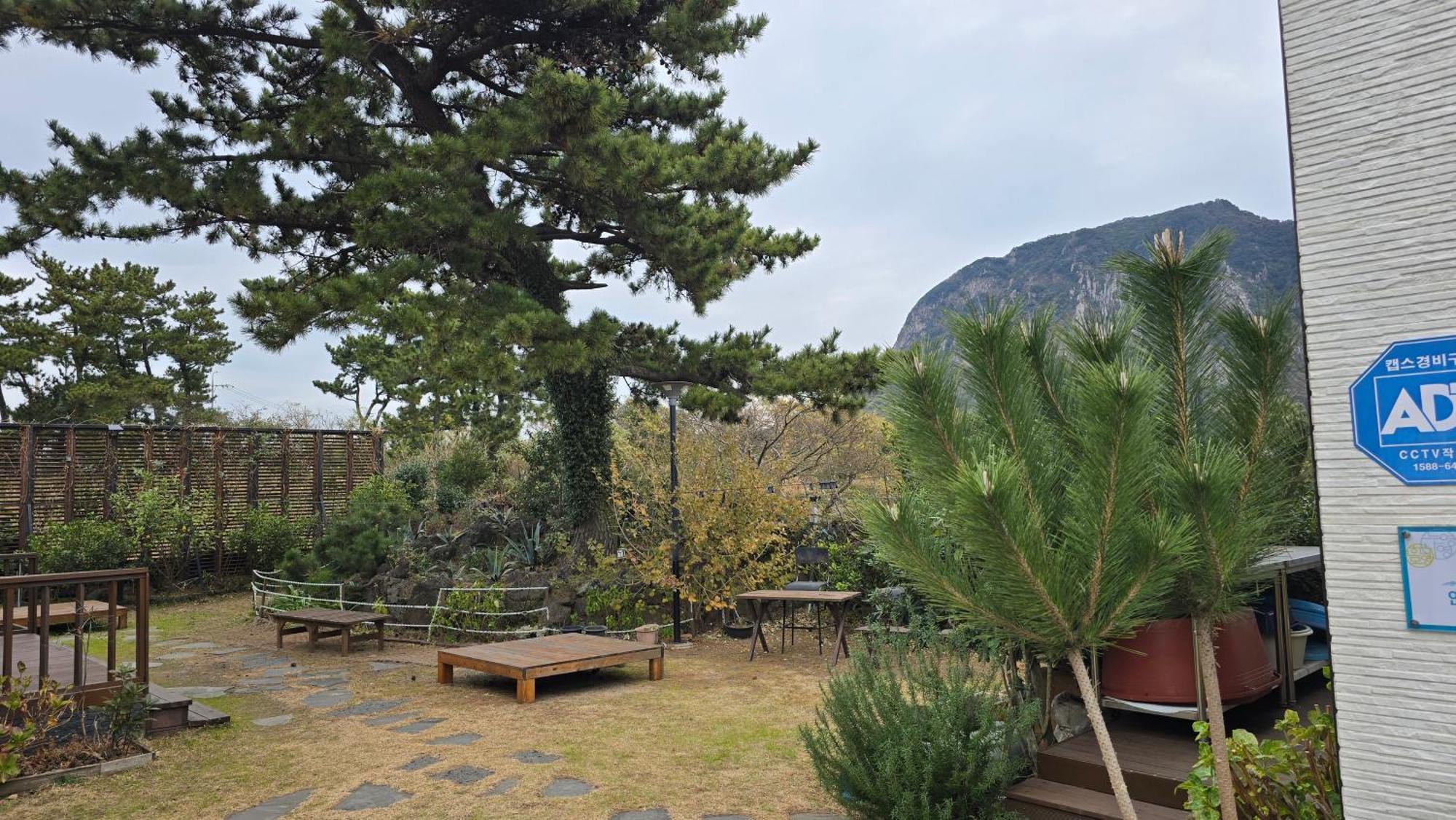 Wind Jeju Cafe & Pension Seogwipo Exterior foto