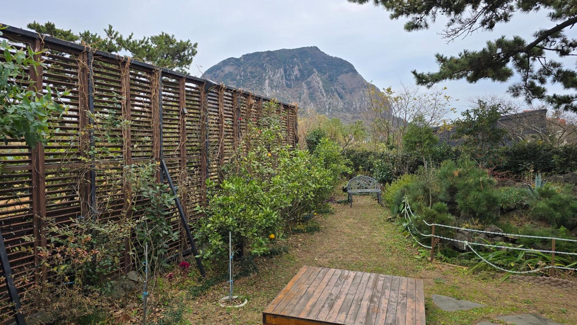 Wind Jeju Cafe & Pension Seogwipo Exterior foto
