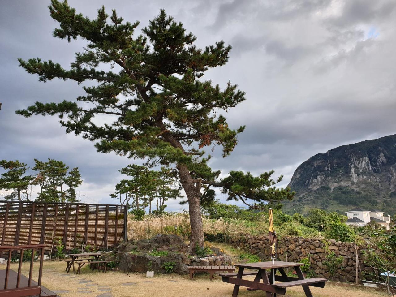 Wind Jeju Cafe & Pension Seogwipo Exterior foto